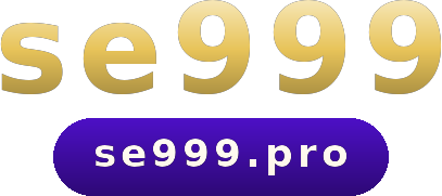 se999 logo
